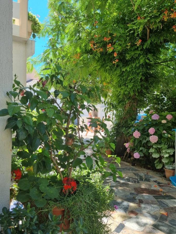 Ana & Marko Rooms Новаля Екстер'єр фото